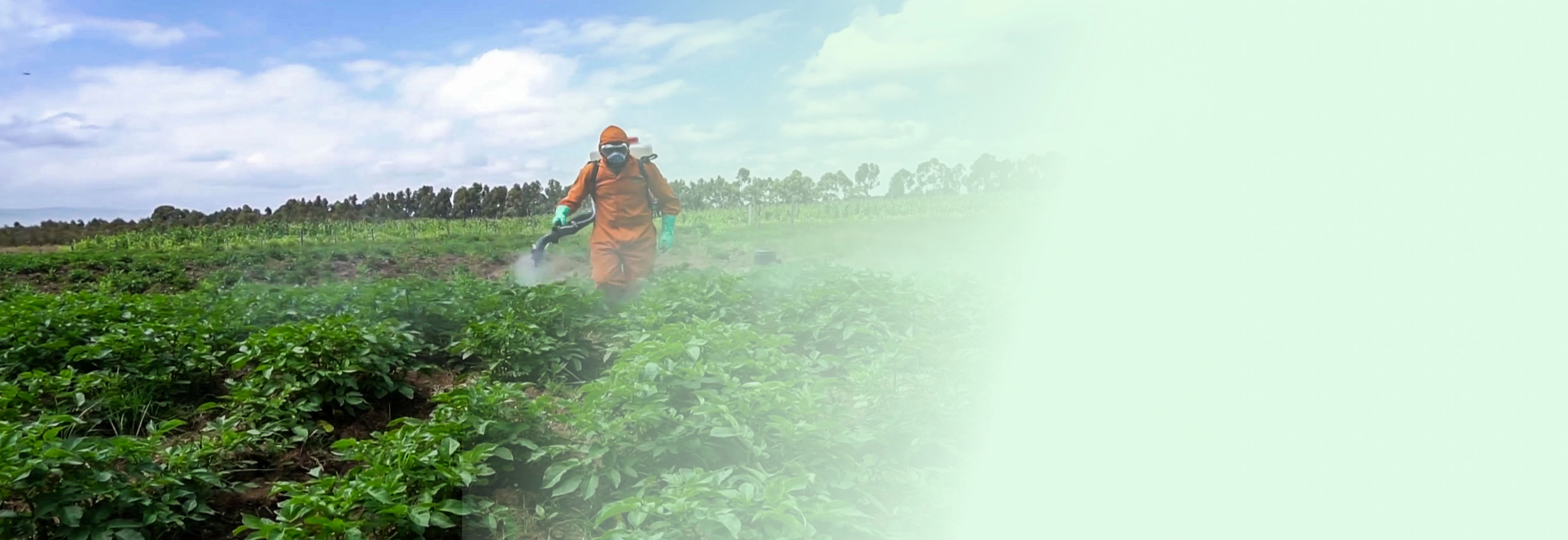 [pcpb.ecitizen.go.ke]